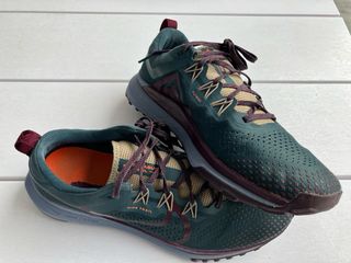 Zapatillas Nike Pegasus Trail Hombre