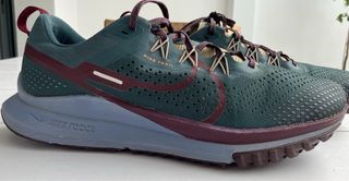 Zapatillas Nike Pegasus Trail Hombre