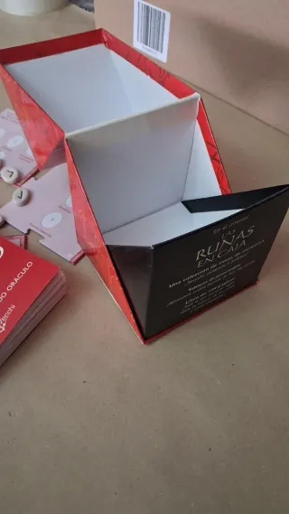 Runas Nórdicas en Caja + Guía y Mapa