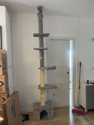 Árbol rascador para gatos ajustable