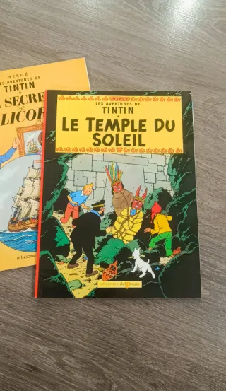 Lote de comic Tintin