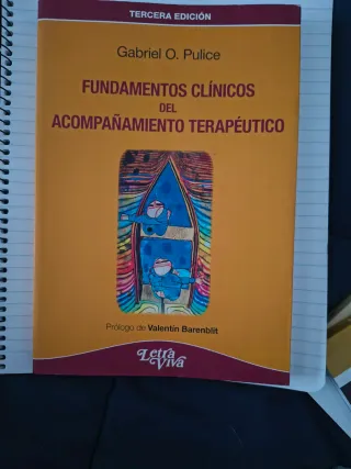 LIBRO ACOMPAÑAMIENTO TERAPÉUTICO