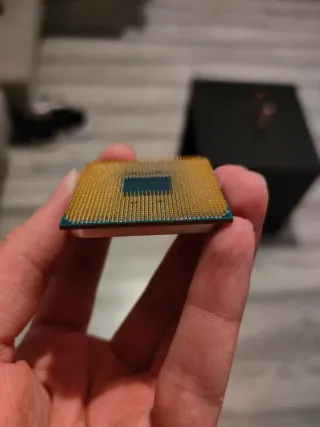 Procesador AMD Ryzen 5 5600