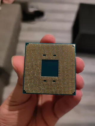 Procesador AMD Ryzen 5 5600