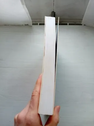 Nueve Meses de Espera: Guía Embarazo