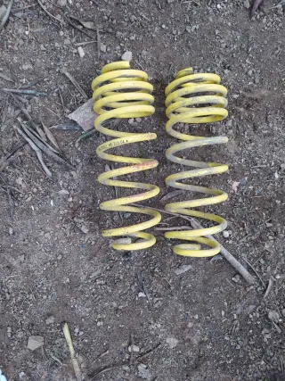 Muelles traseros Apex Seat León 1