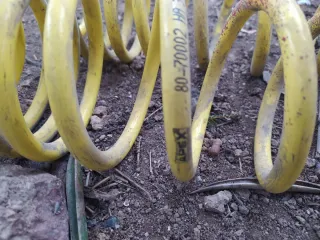 Muelles traseros Apex Seat León 1