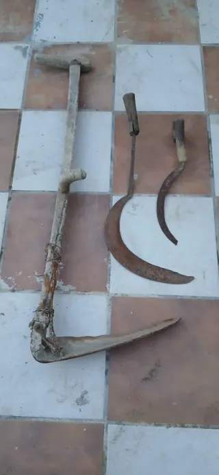 Guadaña, hocino y hoz