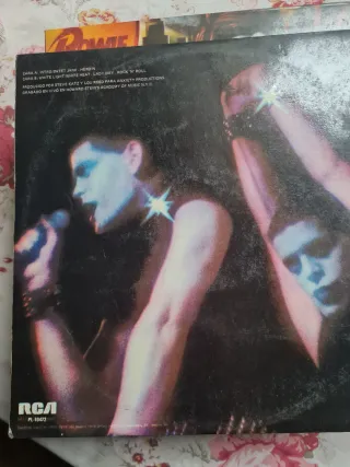 Vinilo Lou Reed Rock n Roll Animal