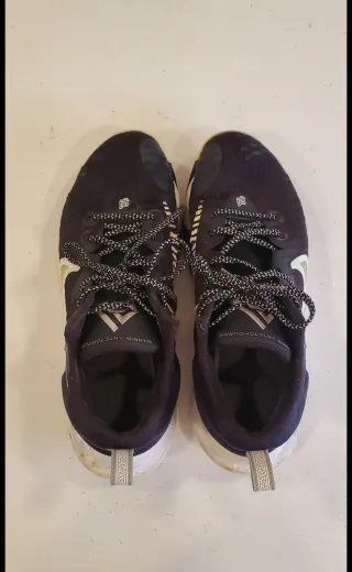 Nike Giannis Immortality