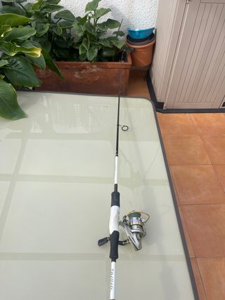 Combo Caña Daiwa Spinning 1 tramo +Carrete