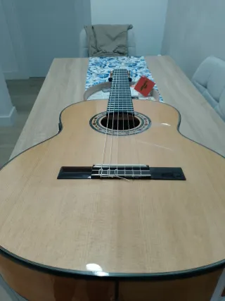 Guitarra Flamenca Amplificada