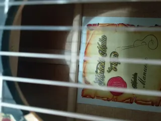 Guitarra Flamenca Amplificada