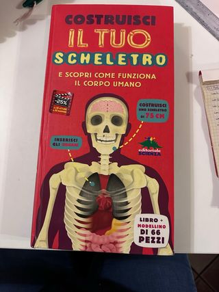 Costruisci il tuo scheletro e scopri come funzi...