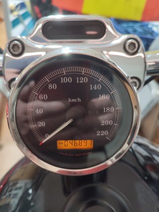 Sportster 1200 Harley Davidson