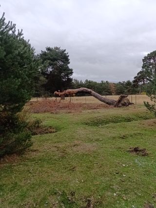 Caravana en Camping La Nava