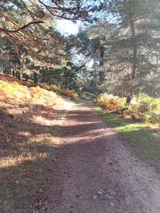 Caravana en Camping La Nava