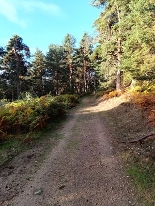 Caravana en Camping La Nava