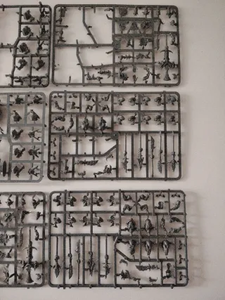 Warhammer Orcos Salvajes en Jabalí (Sprue)