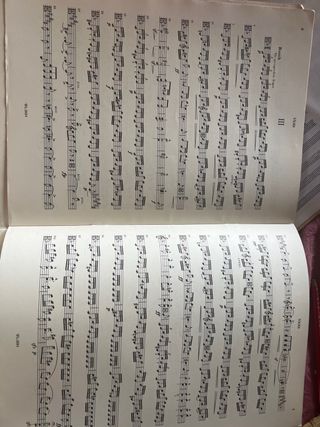 Märchenbilder Op. 113 Schumann Viola y Piano