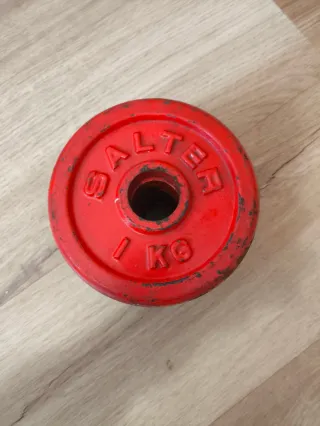 Discos de pesa SALTER 1 kg.