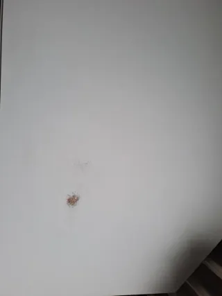 Escritorio esquinero blanco Ikea