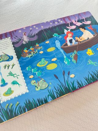 Libro Disney princesa