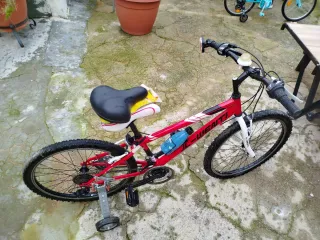 Bicicleta media con ruedines especiales
