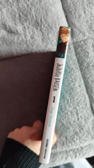 manga 1 jujutsu kaisen