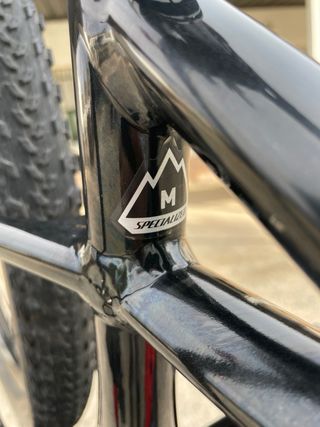 Bicicleta Eléctrica Specialized Levo