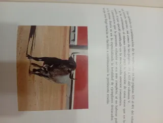 Enciclopedia Los Toros 12 Tomos