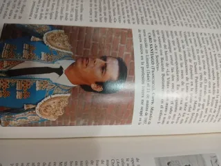 Enciclopedia Los Toros 12 Tomos