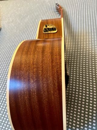 Guitarra Electroacústica Seagull con funda