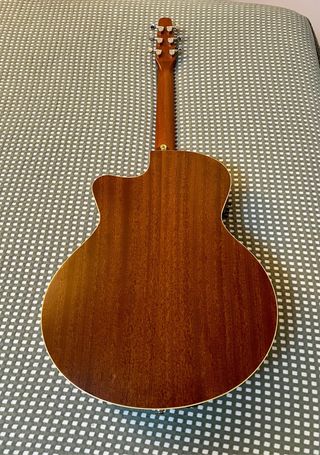 Guitarra Electroacústica Seagull con funda