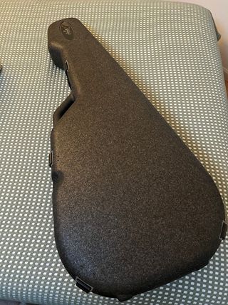 Guitarra Electroacústica Seagull con funda