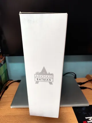 Figura Coleccionable Batman Arkham City 1/6