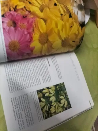 Enciclopedia de las plantas de interior