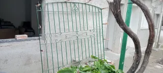 Reja Centenaria Hierro Forjado