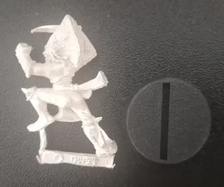 Blood Bowl Elfo Silvano Athelorn Avengers