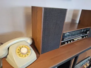 Radio Blaupunkt Vintage Madera