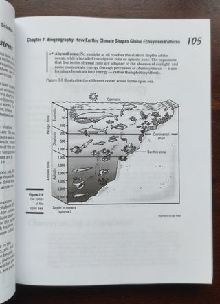Libro Ciencias Ambientales para Dummies