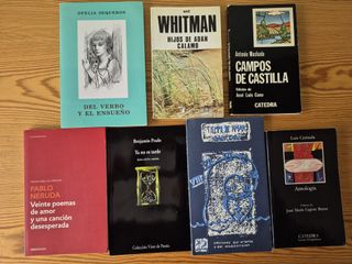 Pack 7 libros poesía