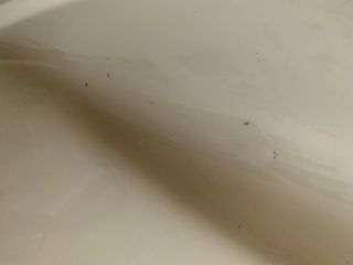 Depósito Gasolina Yamaha Tracer 900 Blanco