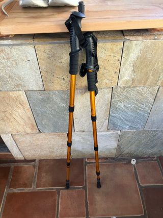 Bastones de trekking naranjas