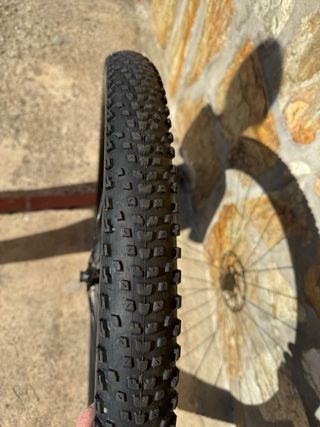 Ruedas 29 MTB bosst neumaticos maxis recon race