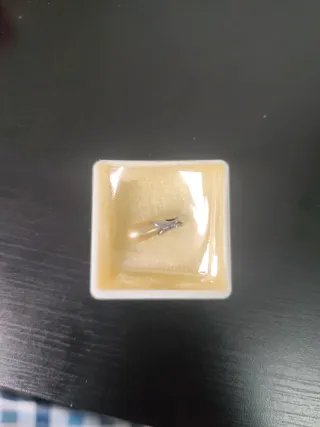 Colgante perla dorada con plata