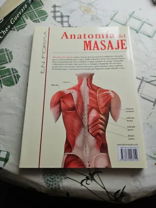 ANATOMÍA DEL MASAJE (Spanish Edition)