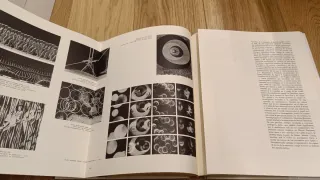 Dimensiones del siglo XX