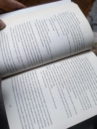 La ladrona de libros