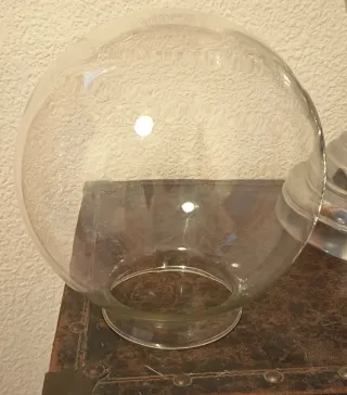 Tulipa de cristal transparente